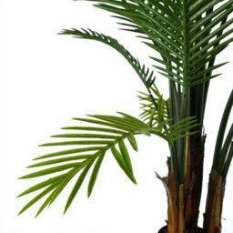 Leaf Artificial Tropical Raphis Palm Tree With Natural Trunk Uv Protected Outdoor Botanik - thumbnail 4