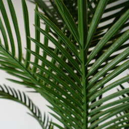 Leaf Artificial Tropical Raphis Palm Tree With Natural Trunk Uv Protected Outdoor Botanik - thumbnail 5