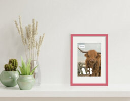 A3 Pink Picture Frame With Mount For A4 (21 X 29.7Cm -8.3 X 11.7In) Poster, Photo, Artwork, Or Print. - thumbnail 4