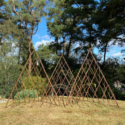 Selections Set Of 3 Expanding Willow Garden Obelisks (1.2M) Ideal For Climbing Plants - image 1
