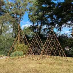 Selections Set Of 3 Expanding Willow Garden Obelisks (1.2M) Ideal For Climbing Plants - thumbnail 3