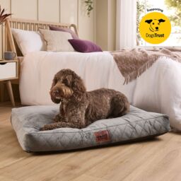 Slumberdown Grey Fabric Dog Bed (W)80Cm (D)20Cm Large - thumbnail 3