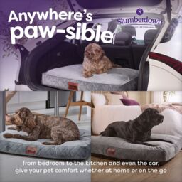 Slumberdown Grey Fabric Dog Bed (W)80Cm (D)20Cm Large - thumbnail 9