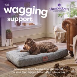 Slumberdown Grey Fabric Dog Bed (W)80Cm (D)20Cm Large - thumbnail 4
