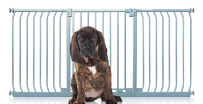 Bettacare Elite Pressure Dog Gate, 179Cm - 188Cm, Matt Grey, Pressure Fit Pet Gate For Dog And Puppy - image 1