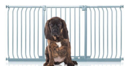 Bettacare Elite Pressure Dog Gate, 179Cm - 188Cm, Matt Grey, Pressure Fit Pet Gate For Dog And Puppy - thumbnail 1