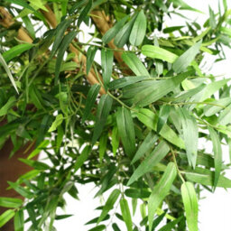 Leaf 120Cm Artificial Oriental Bamboo Plant - thumbnail 2