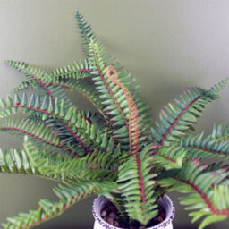 Leaf Artificial Fern Bush In Decorative Planter Botanik - thumbnail 2