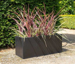 Primrose Gunmetal Black Galvanised Zinc Rectangular Garden Planter Plant Pot Medium 64Cm X 32Cm - thumbnail 3