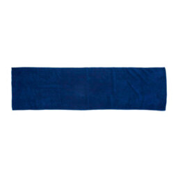 Towel City Microfibre Sports Towel Royal (One Size)