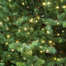Dellonda Pre-Lit 5Ft Hinged Christmas Tree, Warm White Led Lights & Pe/pvc Tips - thumbnail 6