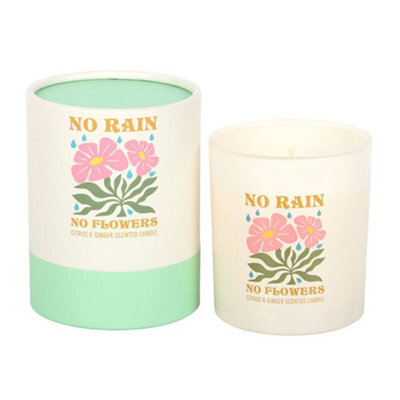 Something Different No Rain, No Flowers Citrus & Ginger Scented Candle Light Pink (One Size) - image 1