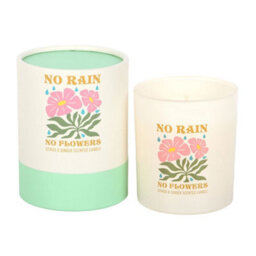 Something Different No Rain, No Flowers Citrus & Ginger Scented Candle Light Pink (One Size) - thumbnail 1