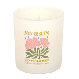 Something Different No Rain, No Flowers Citrus & Ginger Scented Candle Light Pink (One Size) - thumbnail 2