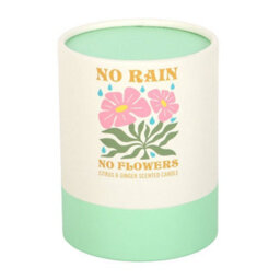 Something Different No Rain, No Flowers Citrus & Ginger Scented Candle Light Pink (One Size) - thumbnail 3