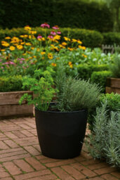 Lamela™ Magnolia Black Concrete Plant Pot, Egg Planter, Stone Effect Resin Indoor And Outdoor Planter D25 H22Cm - thumbnail 3