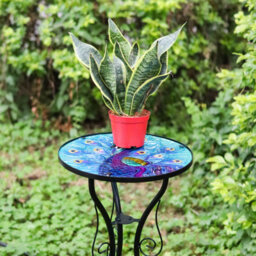 Geezy Garden Glass Round Coffee Table Blue Peacock Design Mosaic Patio Table - thumbnail 4