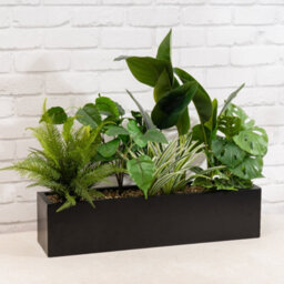 Scottish Everlastings Ltd. Scottish Everlastings 65Cm Artificial Mixed Outdoor Plants In Container - thumbnail 1