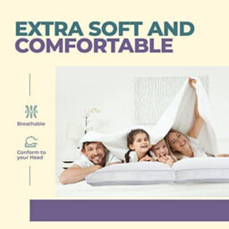 Nod Off 100% Egyptian Cotton Box Pillow For Side Sleeper, Hypoallergenic And Dust Mite Resistant Down Alternative Filling - Pack Of 2 - thumbnail 4
