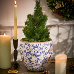 Dibor Vintage Style Luxury Solene Blue Botanical Flower Planter H17 X Dia. 18.5Cm - thumbnail 1
