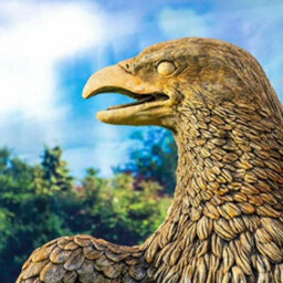 Giant Golden Eagle Stone Cast  Garden Statue - thumbnail 4