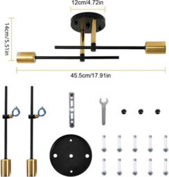Pheashine Black And Gold 2-Light Ceiling Lamp, E27 Vintage Adjustable Flush Mount - thumbnail 2