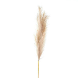 Hill Interiors Bleached  Large Faux Pampas Grass Stem - thumbnail 1