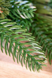 Christmas Tree World The 6Ft Pre-Lit Ultra Mixed Pine Garland - thumbnail 9