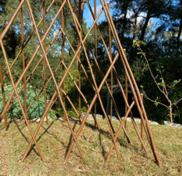 Selections Pair Of Expanding Willow Garden Obelisks (1.2M) Ideal For Climbing Plants - thumbnail 4
