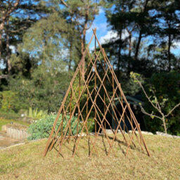Selections Pair Of Expanding Willow Garden Obelisks (1.2M) Ideal For Climbing Plants - thumbnail 2