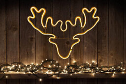 Shatchi Stag Head Neon Effect Rope Light Silhouette Double Side 90 Warm White Leds Christmas Outdoor - thumbnail 3