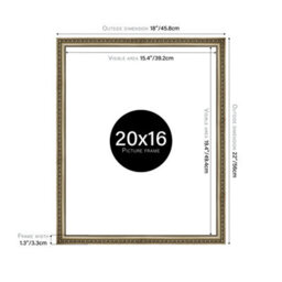 20X16 Champaign Ornate Picture Frame (40.6 X 50.8Cm) Poster, Photo, Artwork, Gallery Wall Or Print - thumbnail 2