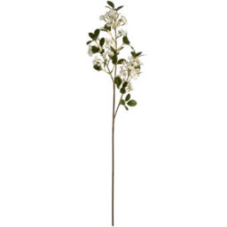 Wyld Haus Set Of 3 Artificial White Spring Mock Orange Flower Stems 920mm - thumbnail 1