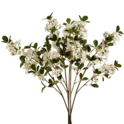 Wyld Haus Set Of 3 Artificial White Spring Mock Orange Flower Stems 920mm - thumbnail 2