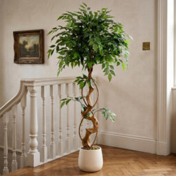 120Cm 4Ft Twisted Trunk Artificial Ficus Tree With White Pot - thumbnail 1