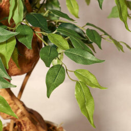 120Cm 4Ft Twisted Trunk Artificial Ficus Tree With White Pot - thumbnail 4
