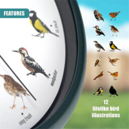 Chiming Bird Wall Clock Cuckoo Hanging Talking Singing Clock 12 Bird Species - thumbnail 5