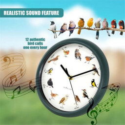 Chiming Bird Wall Clock Cuckoo Hanging Talking Singing Clock 12 Bird Species - thumbnail 4