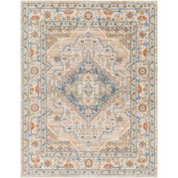 Livabliss Lillian-Washable Brown Blue Traditional Vintage Boho Living Dining Rug 200 X 275 Cm Easy Care, Non Shedding