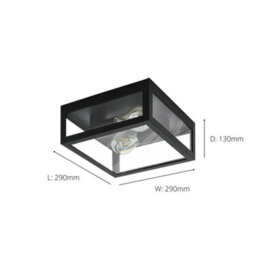 Eglo Amezola Black And Clear Metal And Glass Ip44 Bathroom Or Outdoor Wall Or Ceiling Light, (D) 29Cm - thumbnail 5
