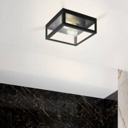 Eglo Amezola Black And Clear Metal And Glass Ip44 Bathroom Or Outdoor Wall Or Ceiling Light, (D) 29Cm - thumbnail 3