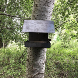 Jake's Farm Yard Wall Mount & Tree Mounted Rustic Steel Bird Feeder With Galvanised Feed Tray - Rusts Over Time - 24Cm X 21Cm X 22 - thumbnail 7