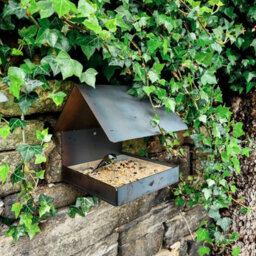 Jake's Farm Yard Wall Mount & Tree Mounted Rustic Steel Bird Feeder With Galvanised Feed Tray - Rusts Over Time - 24Cm X 21Cm X 22 - thumbnail 9