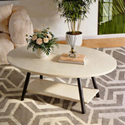Modern White Elliptical 2-Tier Coffee Table With Storage Shelf & Metal Frame - thumbnail 1