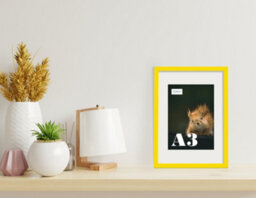 A3 Yellow Picture Frame With Mount For A4 (21 X 29.7Cm -8.3 X 11.7In) Poster, Photo, Artwork, Or Print. - thumbnail 4