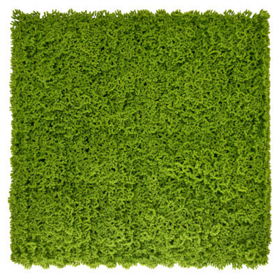 Artificial Plant Flower Living Wall Panels Realistic - Moss - Indoor / Outdoor - 1M X 1M - Home, Garden, Office - image 1