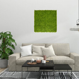 Artificial Plant Flower Living Wall Panels Realistic - Moss - Indoor / Outdoor - 1M X 1M - Home, Garden, Office - thumbnail 8