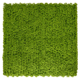 Artificial Plant Flower Living Wall Panels Realistic - Moss - Indoor / Outdoor - 1M X 1M - Home, Garden, Office - thumbnail 1