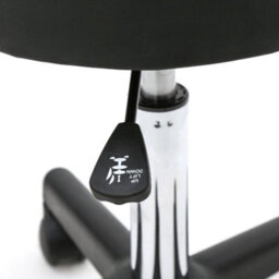 Salon Stool Adjustable Round With Backrest Black Comfort Rolling Lift Chair - thumbnail 4
