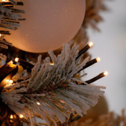 Festive Indoor & Outdoor 6Ft Christmas Tree Lights 760 Warm White Leds - thumbnail 2